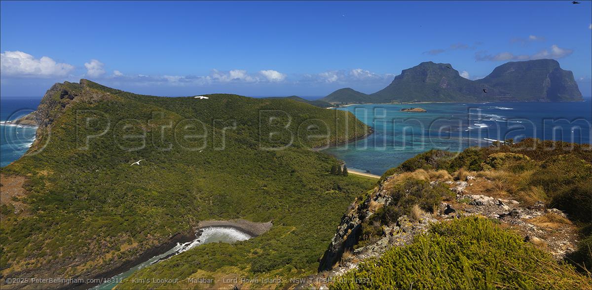 Peter Bellingham Photography Kim's Lookout - Malabar - Lord Howe Island - NSW T (PBH4 00 11932)